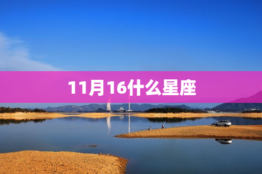 11月16什么星座