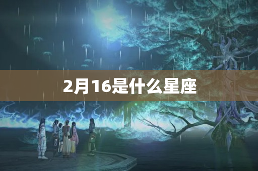 2月16是什么星座