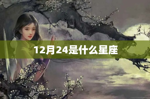 12月24是什么星座