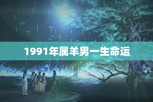 1991年属羊男一生命运