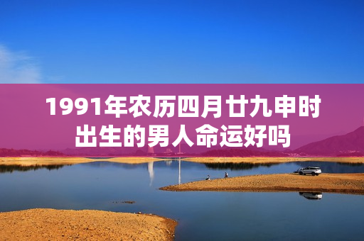 1991年农历四月廿九申时出生的男人命运好吗