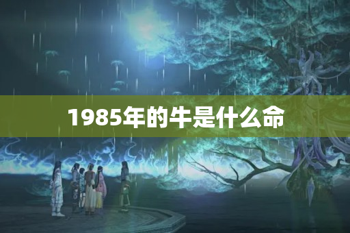 1985年的牛是什么命