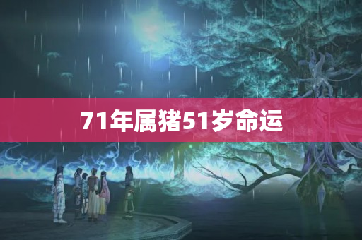 71年属猪51岁命运