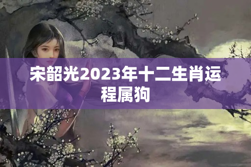 宋韶光2023年十二生肖运程属狗