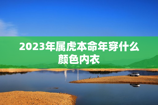 2023年属虎本命年穿什么颜色内衣