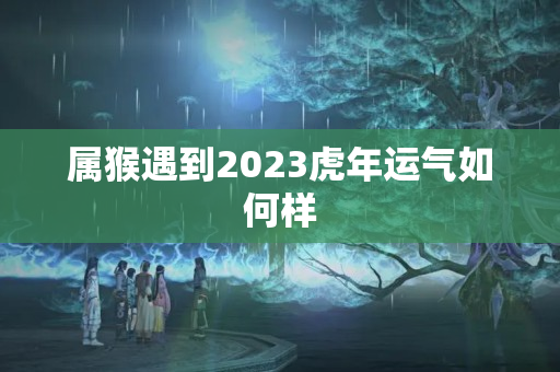 属猴遇到2023虎年运气如何样