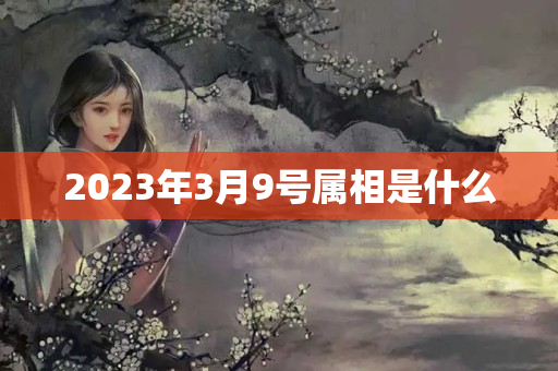 2023年3月9号属相是什么