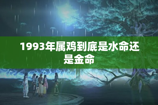 1993年属鸡到底是水命还是金命