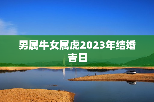 男属牛女属虎2023年结婚吉日