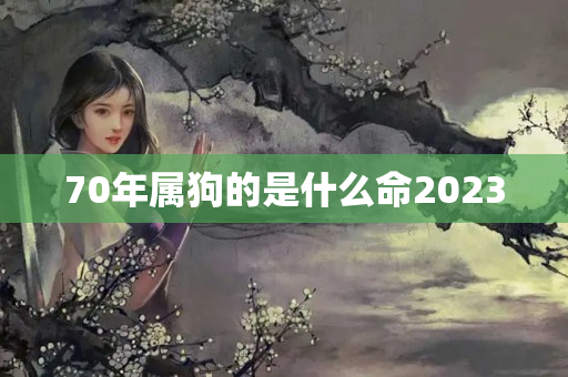 70年属狗的是什么命2023