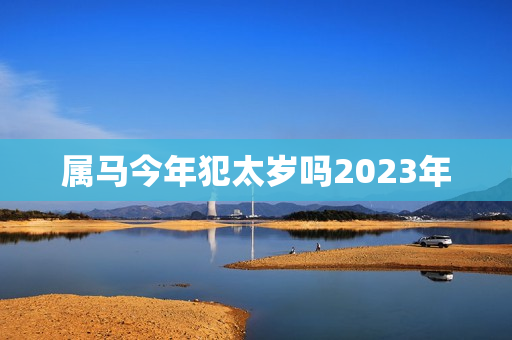 属马今年犯太岁吗2023年