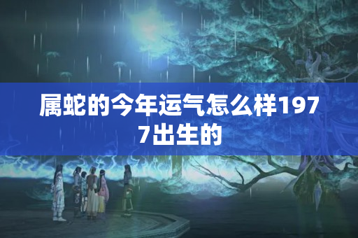 属蛇的今年运气怎么样1977出生的