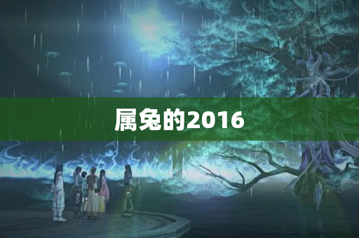 属兔的2016