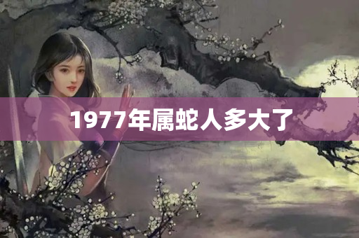 1977年属蛇人多大了