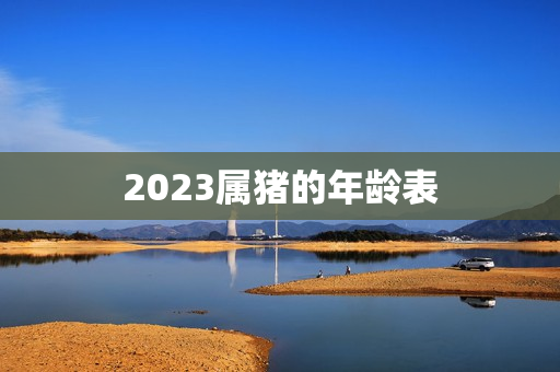 2023属猪的年龄表