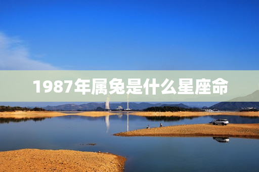 1987年属兔是什么星座命