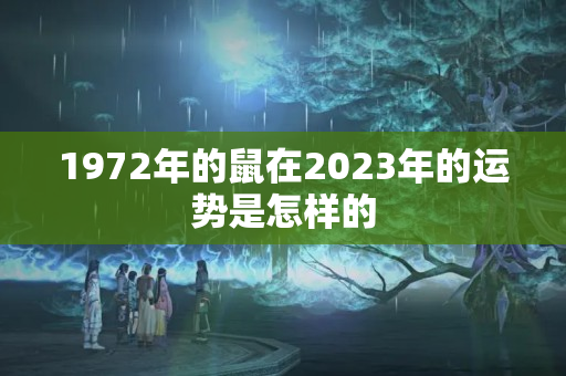 1972年的鼠在2023年的运势是怎样的