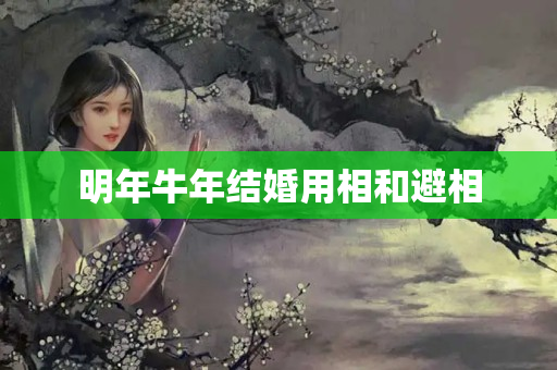 明年牛年结婚用相和避相