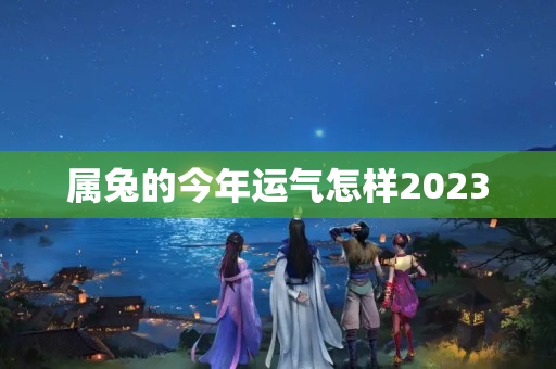 属兔的今年运气怎样2023