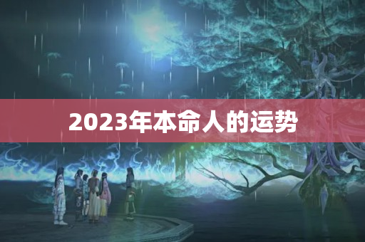 2023年本命人的运势