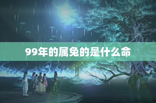 99年的属兔的是什么命