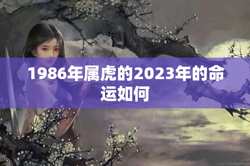 1986年属虎的2023年的命运如何