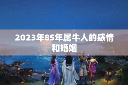 2023年85年属牛人的感情和婚姻