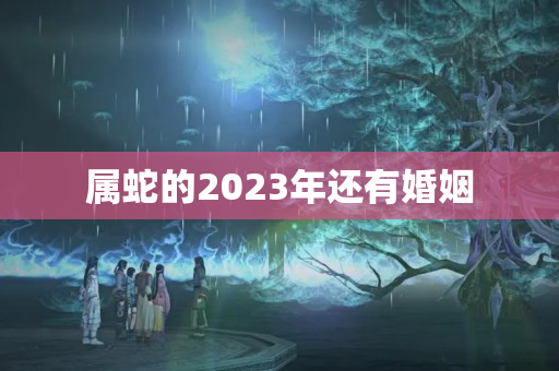 属蛇的2023年还有婚姻