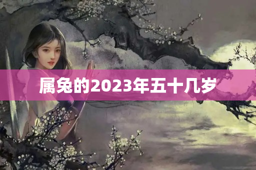 属兔的2023年五十几岁