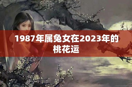 1987年属兔女在2023年的桃花运