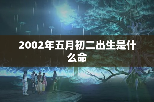 2002年五月初二出生是什么命