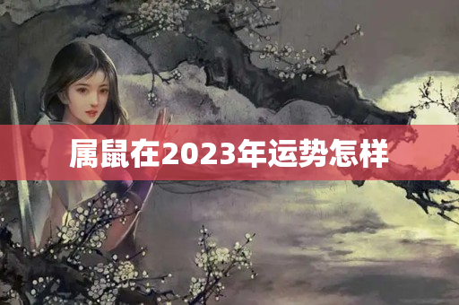 属鼠在2023年运势怎样