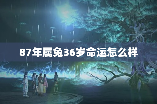 87年属兔36岁命运怎么样