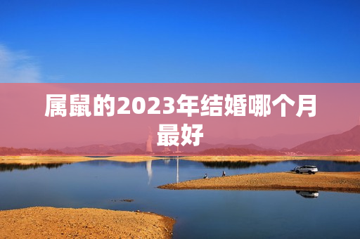 属鼠的2023年结婚哪个月最好