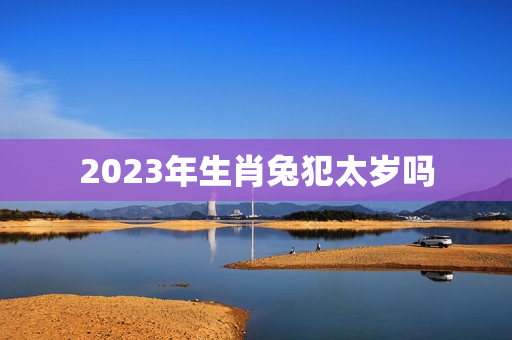 2023年生肖兔犯太岁吗