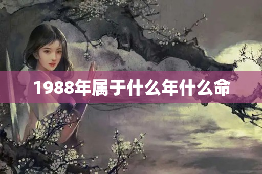 1988年属于什么年什么命