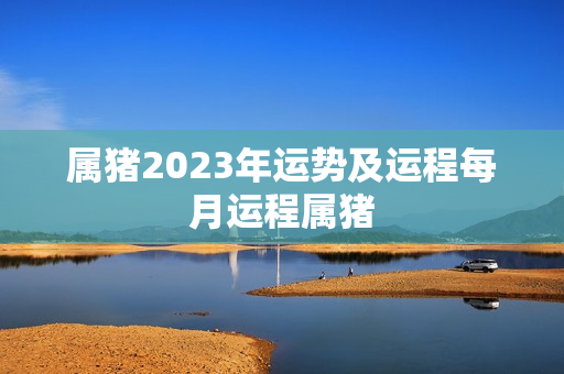 属猪2023年运势及运程每月运程属猪