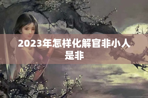 2023年怎样化解官非小人是非