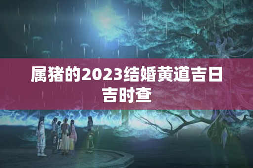 属猪的2023结婚黄道吉日吉时查