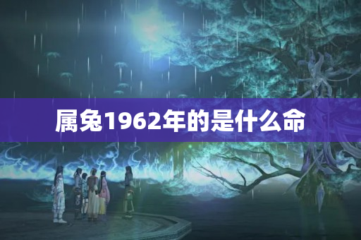 属兔1962年的是什么命