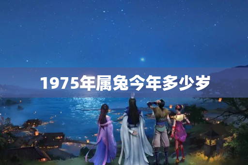 1975年属兔今年多少岁