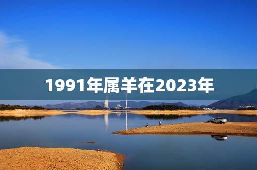 1991年属羊在2023年