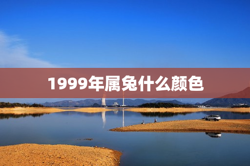 1999年属兔什么颜色