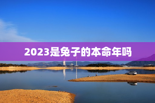 2023是兔子的本命年吗