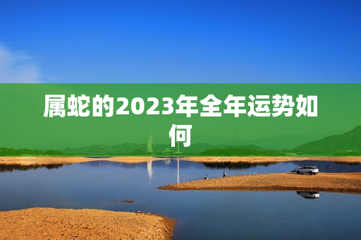 属蛇的2023年全年运势如何