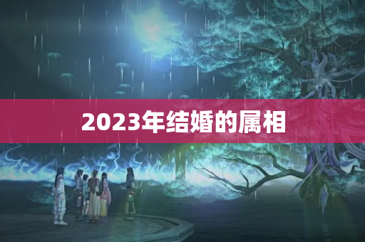 2023年结婚的属相