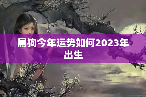 属狗今年运势如何2023年出生