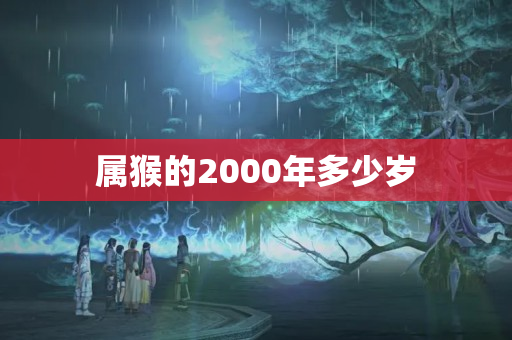 属猴的2000年多少岁