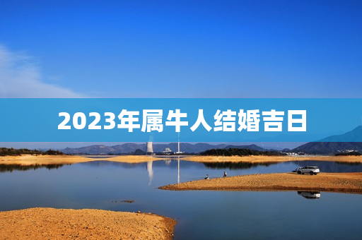 2023年属牛人结婚吉日