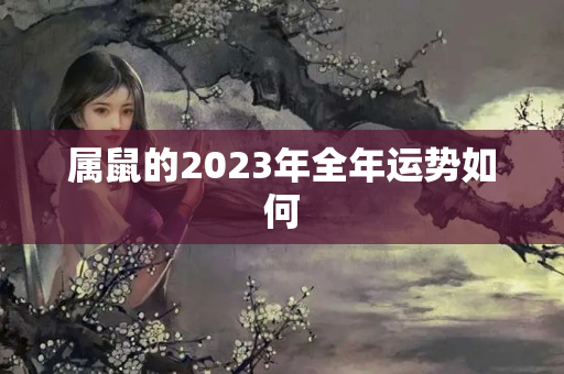 属鼠的2023年全年运势如何